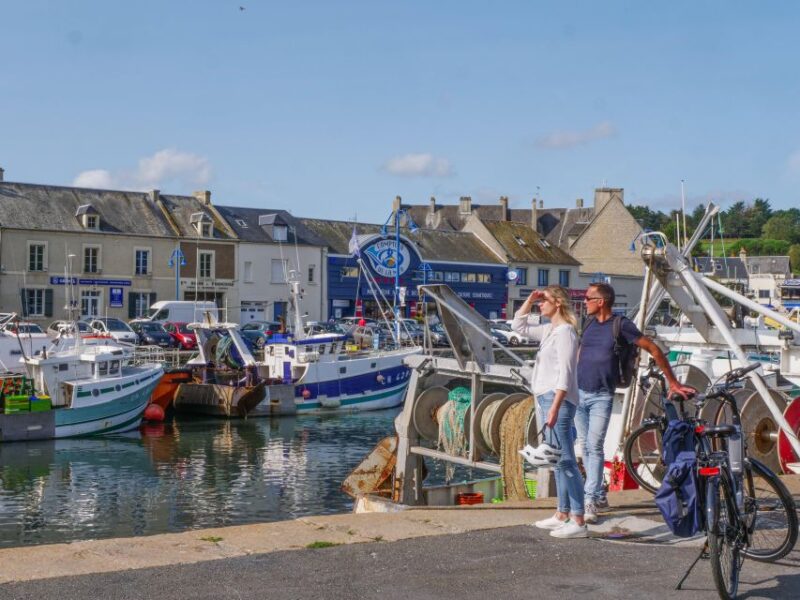 D-Day E-Bike Excursion Self Guided - Bike Features and Capabilities