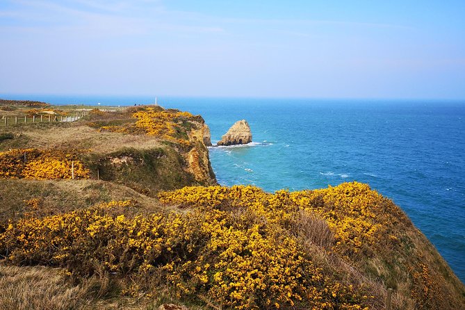 D-Day Private Tour Omaha + Utah Beach From Caen With Audio Guide - Traveler Reviews and Feedback