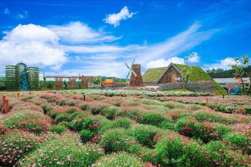 Da Lat City Tour: 2 Waterfalls - Top Tourist Sights - Key Points