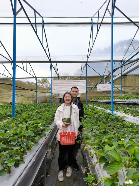 Da Lat City Tour: Langbian - Datanla Waterfall - Crazy House - Langbiang Mountain