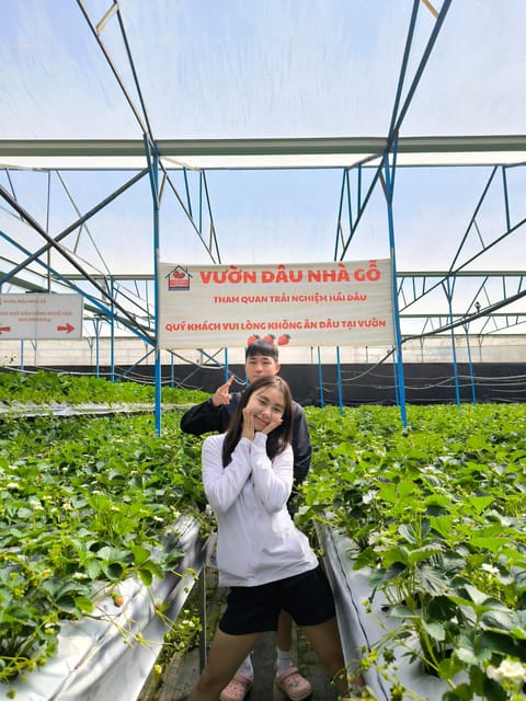Da Lat City Tour: Langbian - Datanla Waterfall - Crazy House - Datanla Waterfall