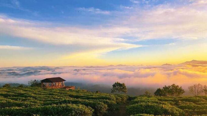 Da Lat: CLOUD HUNTING AND THE GLOW OF DAWN TOUR - What to Expect