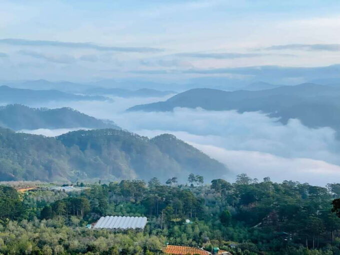 Da Lat: Cloud Hunting, Experience Da Lat Special Products - Long Dinh Tea Museum