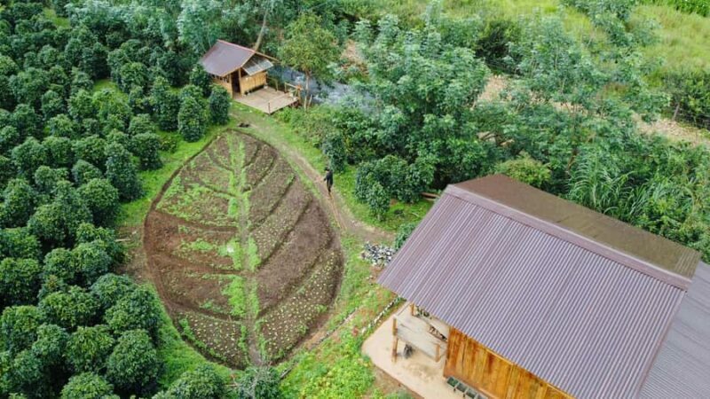 Da Lat: Coffee Roasting Workshop - Roast & Brew Your Own - Key Points