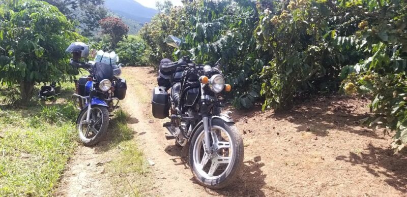 Da Lat Countryside Tour: Serene Escapes in the Outskirts - Strolling Through Van Thanh Flower Village