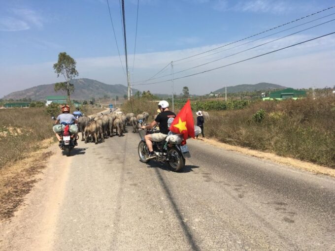 Da Lat Countryside Tour: Serene Escapes in the Outskirts - Hiking Da Phu Pine Hill for Scenic Views