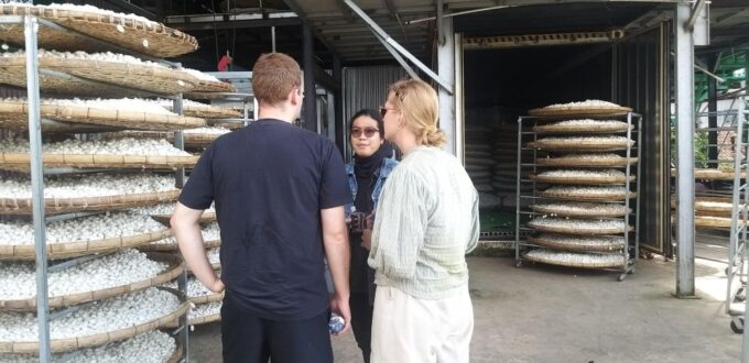 Da Lat Countryside Tour: Serene Escapes in the Outskirts - Taking in Local Villagers Peaceful Lives