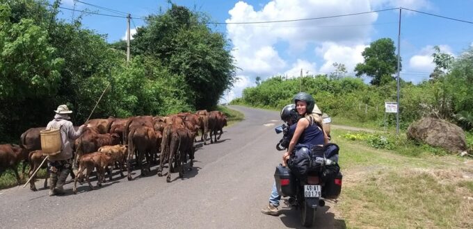 Da Lat Cultural Heritage Tour - Frequently Asked Questions