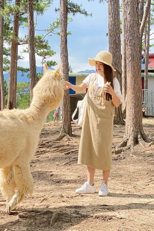 Da Lat: Dalat Wonderland Theme Park Ticket - Outside Food and Drinks