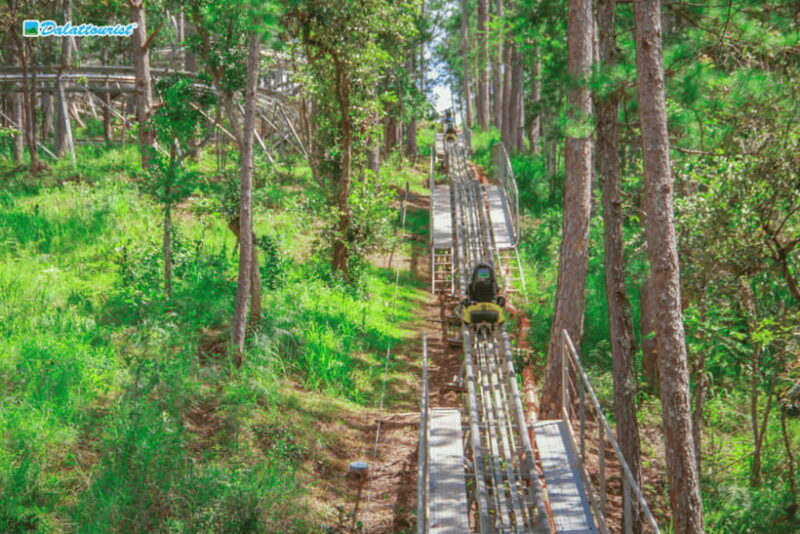 Da Lat: Datanla New Alpine Coaster Experience Entry Ticket - An In-Depth Look at the Datanla Alpine Coaster