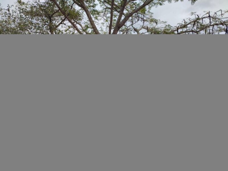 Da Lat: Explore Countryside Half Day Tour by Motorbike Ride - Live Tour Guide