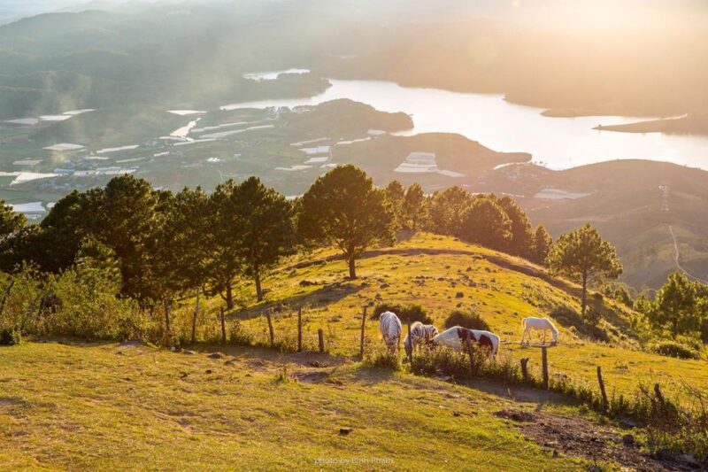 Da Lat: Full Day Adventure Tour With Lunch & Waterfalls - Clay Tunnel