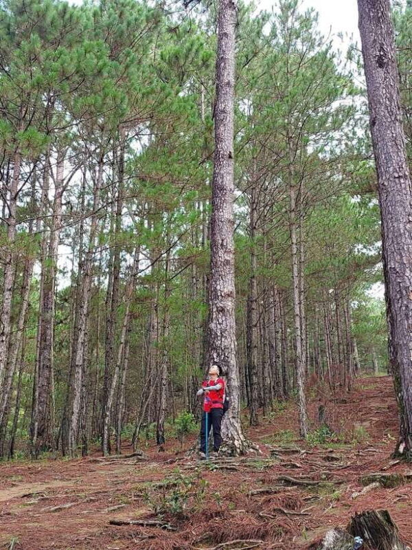 Da Lat: Langbiang Peak Trekking Tour With Camping & Karaoke - Highlights