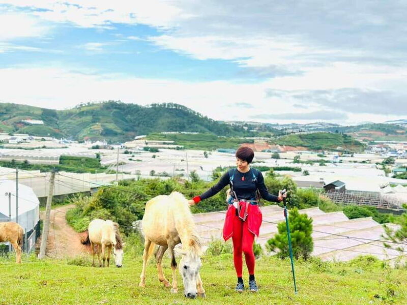 Da Lat: Langbiang Peak Trekking Tour With Camping & Karaoke - Frequently Asked Questions