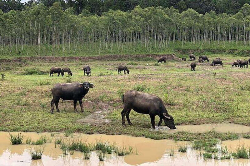 DA LAT LOOP Tour With Private Car - Tour Features