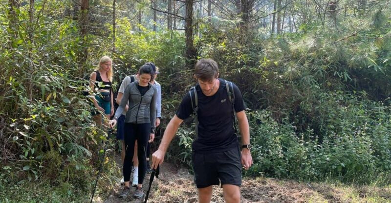 Da Lat : Samson Peak Hike and Tuyen Lam Lake Kayaking - Trekking Through Diverse Landscapes