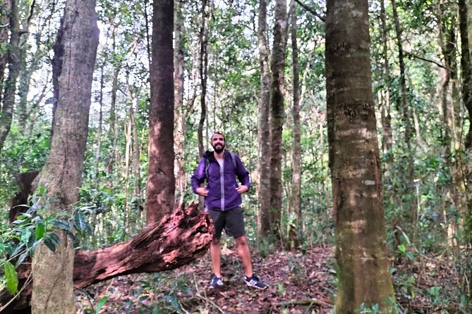 Da Lat Trekking to Langbiang Mountain With Coffee View - Accessibility