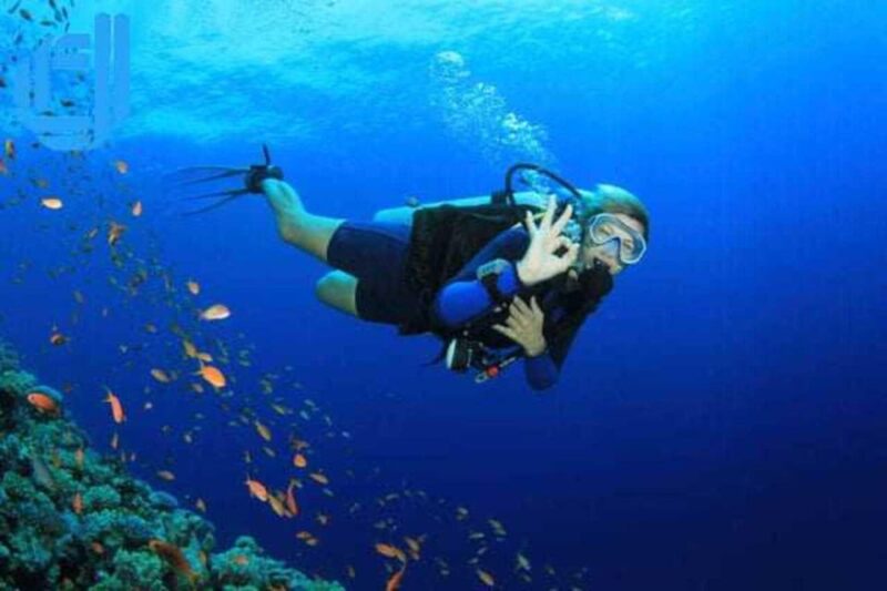 Da Nang: Cham Island Boat Day Trip With Snorkeling and Lunch - Snorkeling Adventure