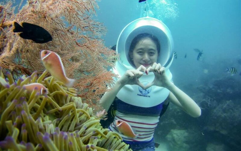 Da Nang: Cham Island Boat Day Trip With Snorkeling and Lunch - Seafood Lunch Experience