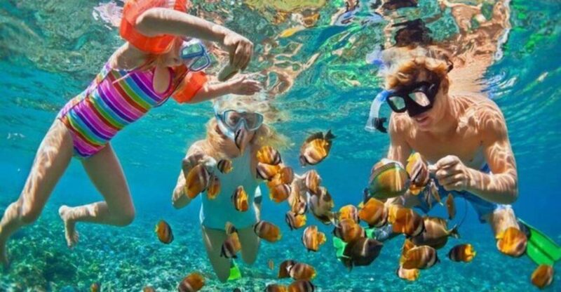 Da Nang: Cham Island Boat Day Trip With Snorkeling and Lunch - Hai Tang Pagoda Visit