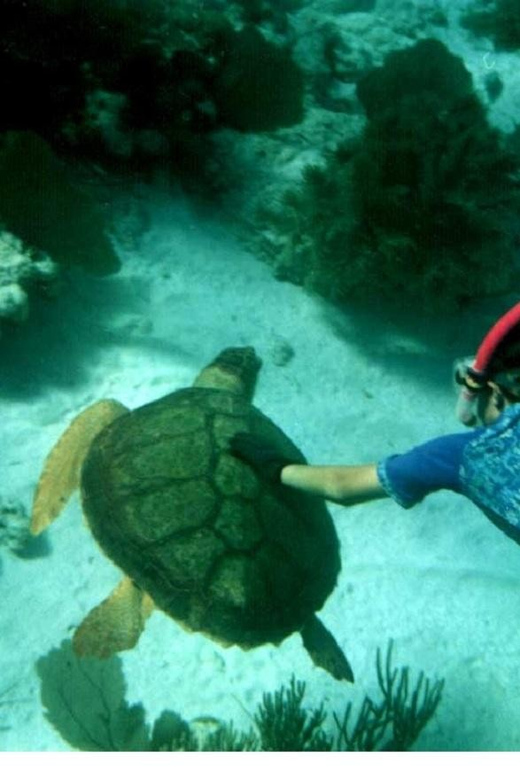 Da Nang: Cham Islands With Snorkeling and Scenic Highlights - Inclusions