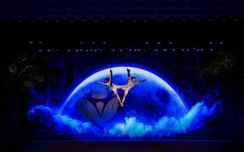 Da Nang: Charming Da Nang Show Ticket - Group Seating