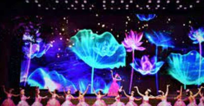 Da Nang Charming Show Vietnam - Cultural Performances