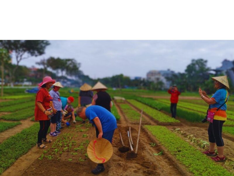 Da Nang Chef: Dive Into Culture & Master Authentic Recipes - Skilled Chefs Techniques