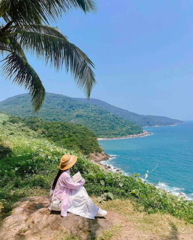 Da Nang City Countryside Son Tra Peninsula Hai Van Pass Tour - Itinerary Highlights