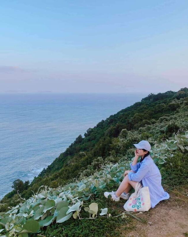 Da Nang City Countryside Son Tra Peninsula Hai Van Pass Tour - Tour Inclusions