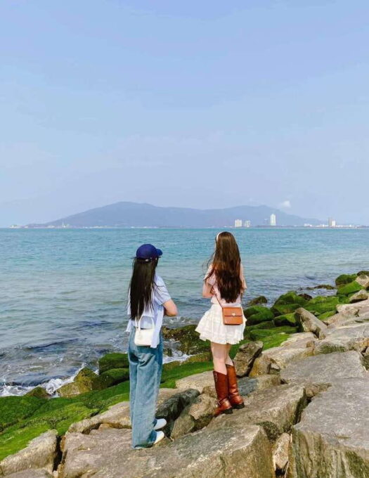 Da Nang City Countryside Son Tra Peninsula Hai Van Pass Tour - Navigating the Hai Van Pass