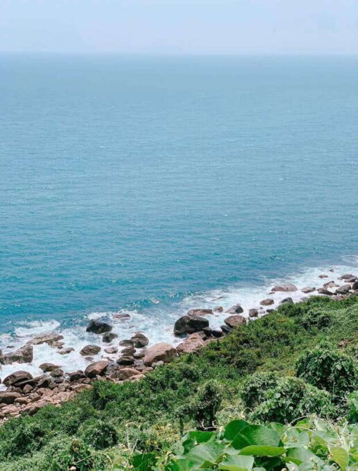 Da Nang City Countryside Son Tra Peninsula Hai Van Pass Tour - Capturing Memories