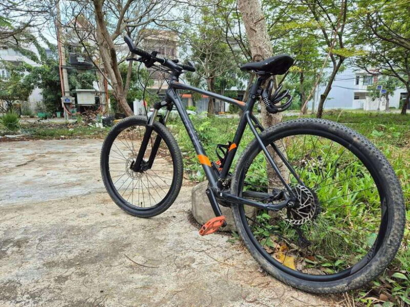 Da Nang City Sightseeing Cycling Private Tour By Bicycle - Itinerary Highlights