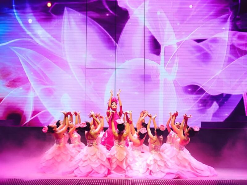 Da Nang: Da Nang Charming Show Ticket - Important Information