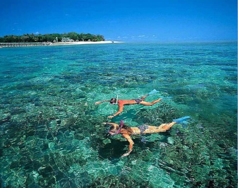 Da Nang: Daiy Cham Islands Snorkeling Tour With Lunch - Transportation and Logistics