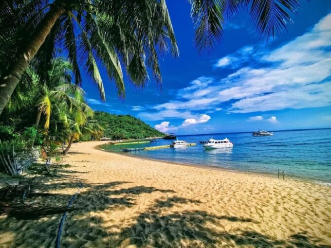 Da Nang: Daiy Cham Islands Snorkeling Tour With Lunch - Hai Tang Pagoda and Cham Well