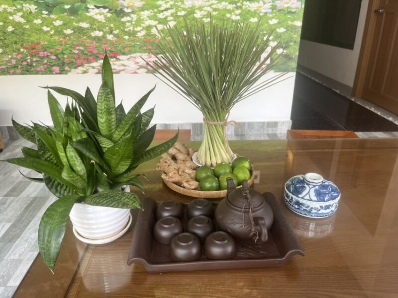 Da Nang: Experience 60 Minutes Thai Traditional Massage - Massage Therapist Qualifications