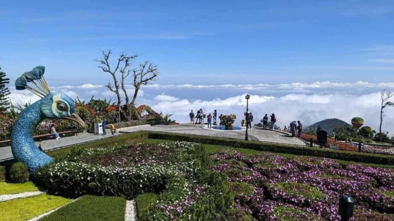 Da Nang: Golden Bridge - BaNa Hills by Private Car - Important Information and Recommendations