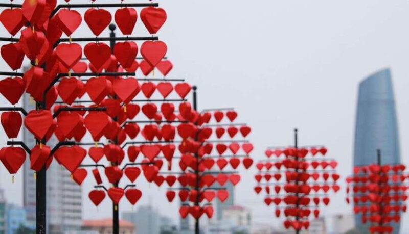 Da Nang: Guided City Tour With Museums and Bridges - Tour Inclusions and Restrictions