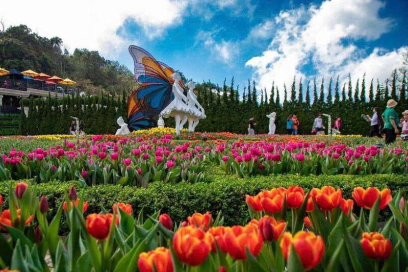 Da Nang/Hoi An: Ba Na Hills &Golden Bridge& Cable Car - Additional Information