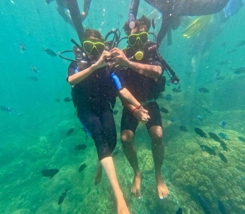 Da Nang/Hoi An: Cham Island Speedboat Tour With Snorkeling - Itinerary Details