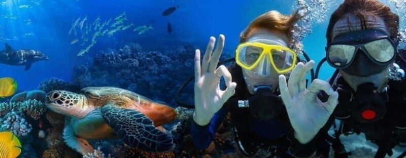 Da Nang/Hoi An: Cham Island W Snorkeling Trip/Scuba Diving - Itinerary Details