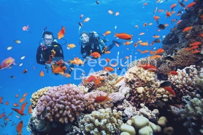 Da Nang/Hoi An: Cham Island W Snorkeling Trip/Scuba Diving - Preparing for the Trip