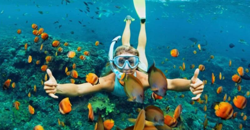Da Nang/Hoi An: Discovery Cham Island and Snorkeling 1 Day - Key Points