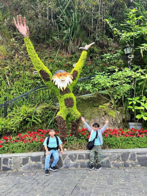 Da Nang/Hoi an to Golden Bridge and Marble Mountain - Accessibility and Contact Information