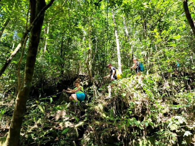 Da Nang/Hoi An to Hue via Bach Ma National Park Trekking - Picnic Lunch and Inclusions