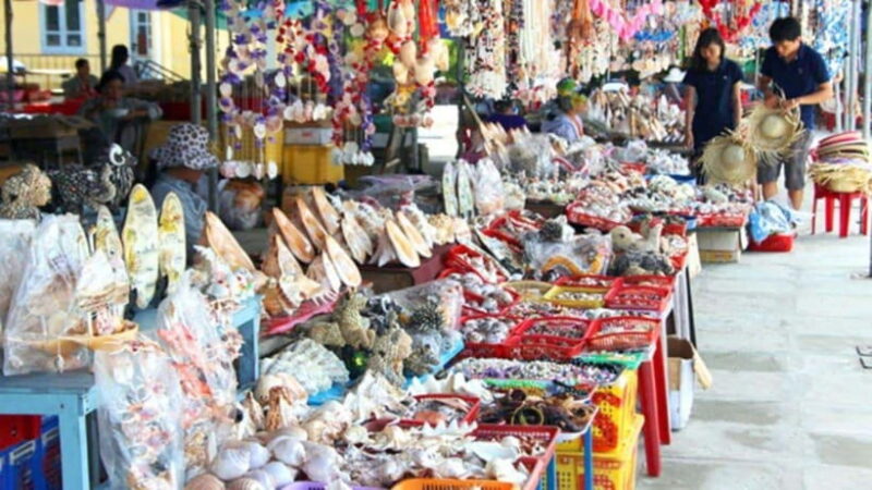 Da Nang/Hoi An:Explore Cham Island and Snorkeling Tour 1 Day - Tour Highlights and Activities