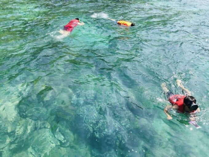Da Nang/Hoi An:Explore Cham Island and Snorkeling Tour 1 Day - Customer Reviews