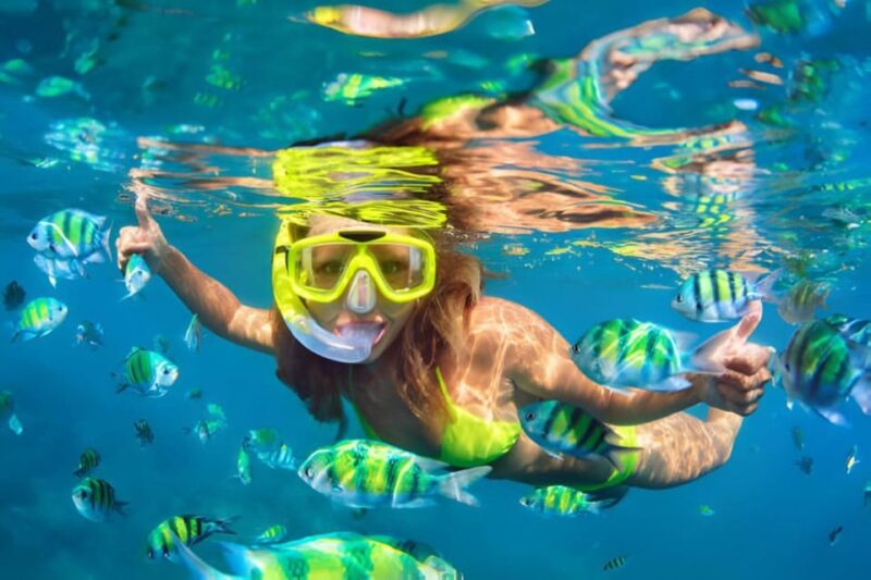 Da Nang: Son Tra Peninsula Exploration - Snorkeling, Fishing - Coastal Scenery