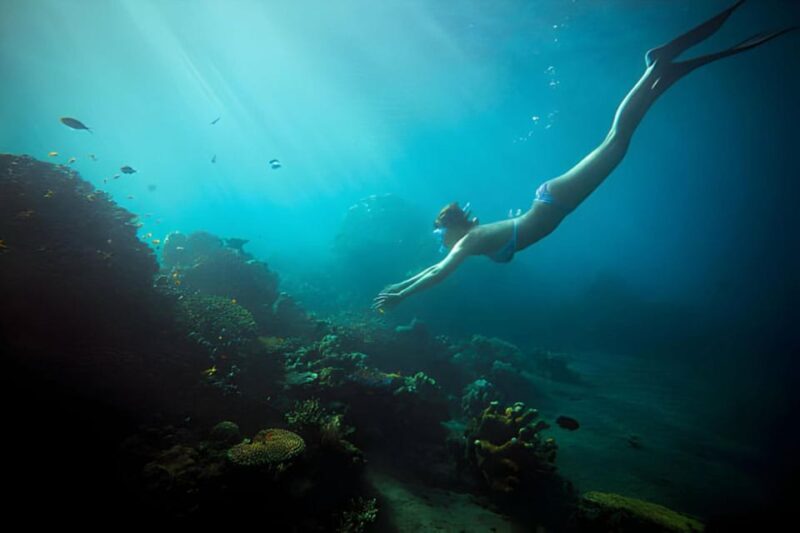 Da Nang: Son Tra Peninsula Exploration - Snorkeling, Fishing - Inclusions and Exclusions